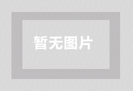 查询Google帐户、广告系列和广告组的成效